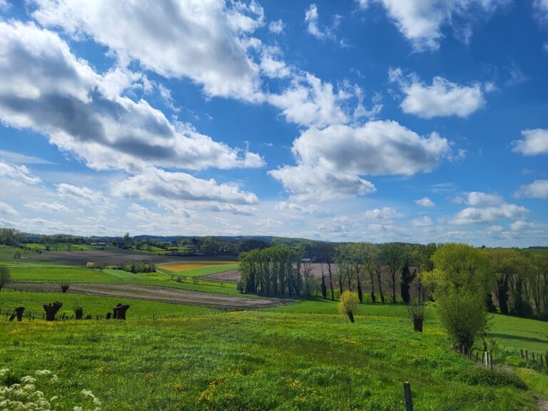 IMG-20240429-WA0024